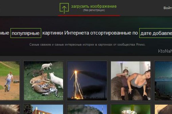Kraken вход и ссылки