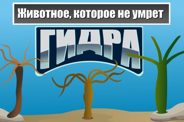 Kraken com darknet