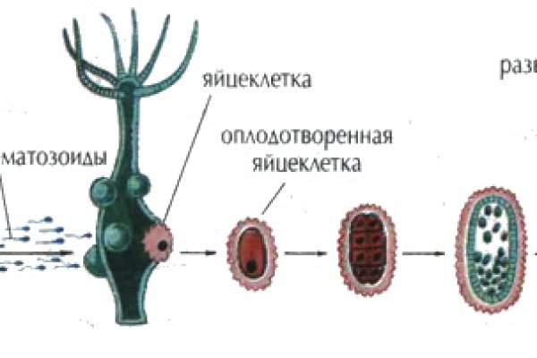 Кракен ссылка призыва нет