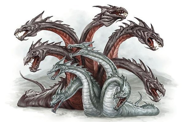 Kraken 12