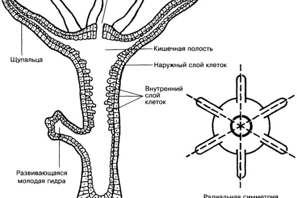 Даркнет официальный сайт на русском
