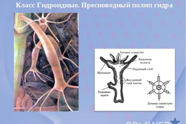 Darknet ссылки