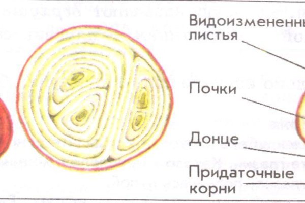 Кракен сайт это