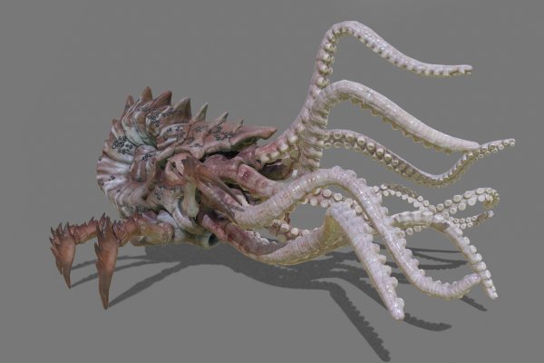 Kraken 13 at