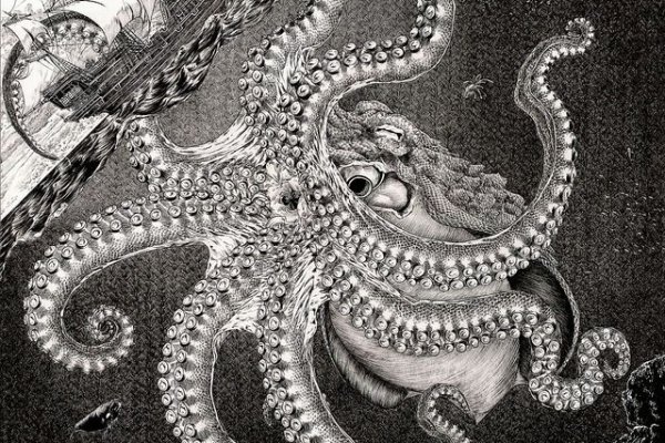 Kraken площадка