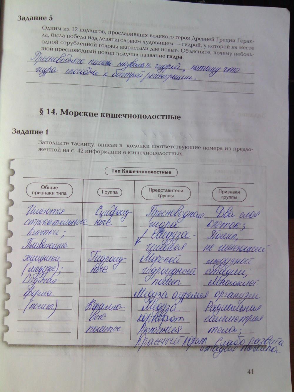 Ссылка на кракен тор