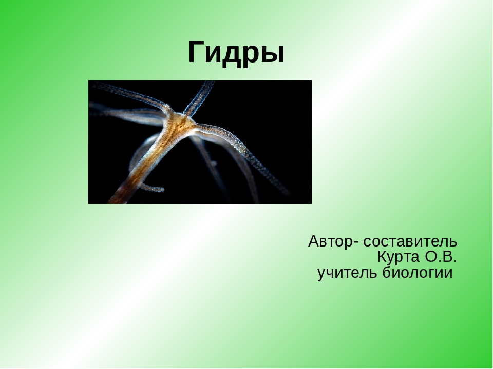 Кракен маркетплейс зайти