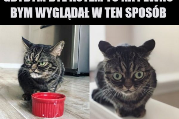Кракен упал