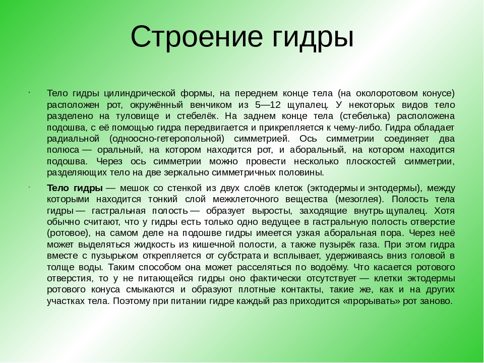 Ссылки на даркнет